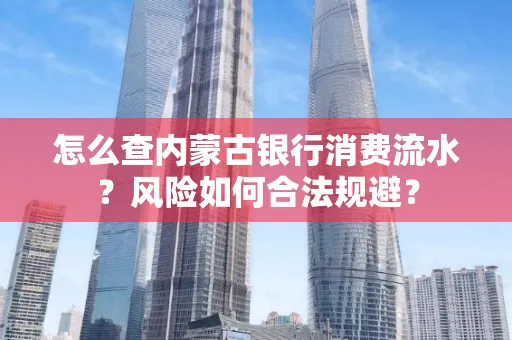 怎么查内蒙古银行消费流水?风险如何合法规避?