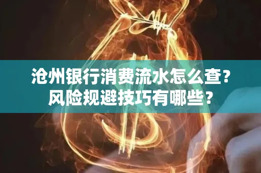 沧州银行消费流水怎么查?风险规避技巧有哪些?
