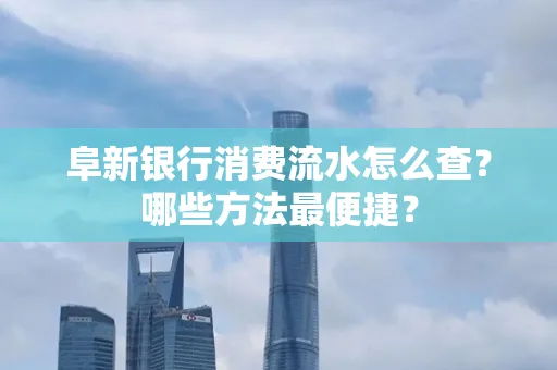 阜新银行消费流水怎么查?哪些方法最便捷?