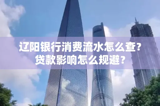辽阳银行消费流水怎么查?贷款影响怎么规避?