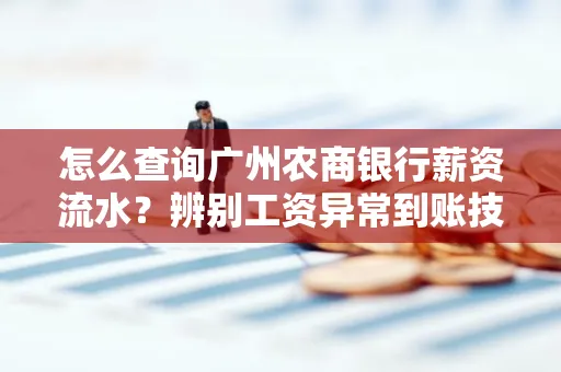 怎么查询广州农商银行薪资流水?辨别工资异常到账技巧?