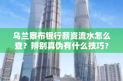 乌兰察布银行薪资流水怎么查?辨别真伪有什么技巧?