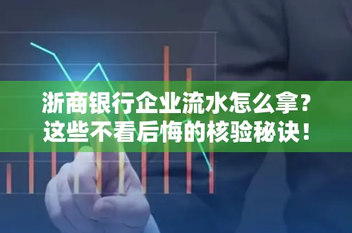 浙商银行企业流水怎么拿?这些不看后悔的核验秘诀!