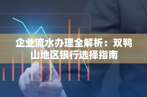 企业流水办理全解析:双鸭山地区银行选择指南