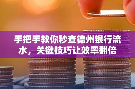 手把手教你秒查德州银行流水,关键技巧让效率翻倍