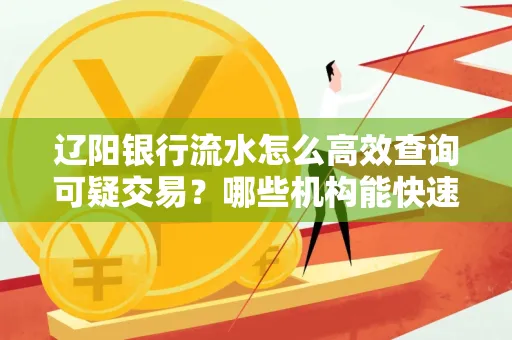 辽阳银行流水怎么高效查询可疑交易?哪些机构能快速分析账单风险?