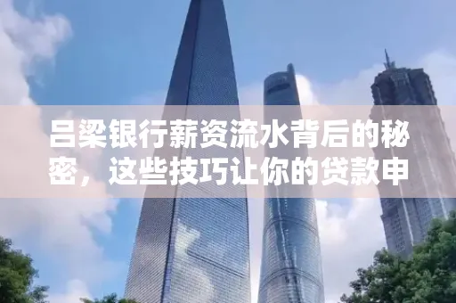 吕梁银行薪资流水背后的秘密,这些技巧让你的贷款申请快人一步