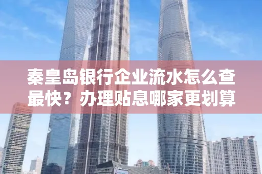 秦皇岛银行企业流水怎么查最快?办理贴息哪家更划算?