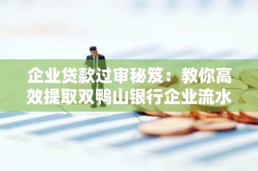 企业贷款过审秘笈:教你高效提取双鸭山银行企业流水