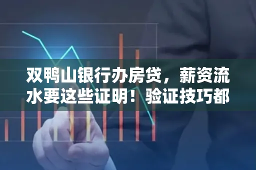 双鸭山银行办房贷，薪资流水要这些证明！验证技巧都在这里！