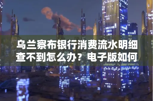 乌兰察布银行消费流水明细查不到怎么办?电子版如何获取攻克技巧?