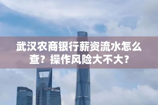 武汉农商银行薪资流水怎么查？操作风险大不大？