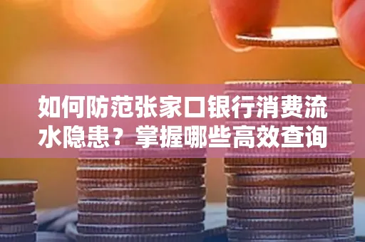 如何防范张家口银行消费流水隐患?掌握哪些高效查询技巧?